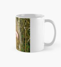 baboon bottom Mug