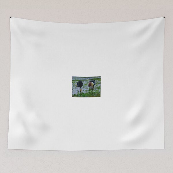 Item preview, Two crested cranes eating designed and sold by exploramum.