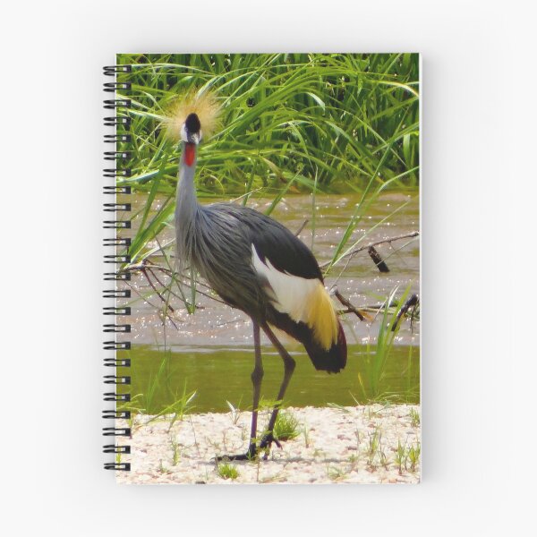 Item preview, side and face profile of one grey crested crane designed and sold by exploramum.