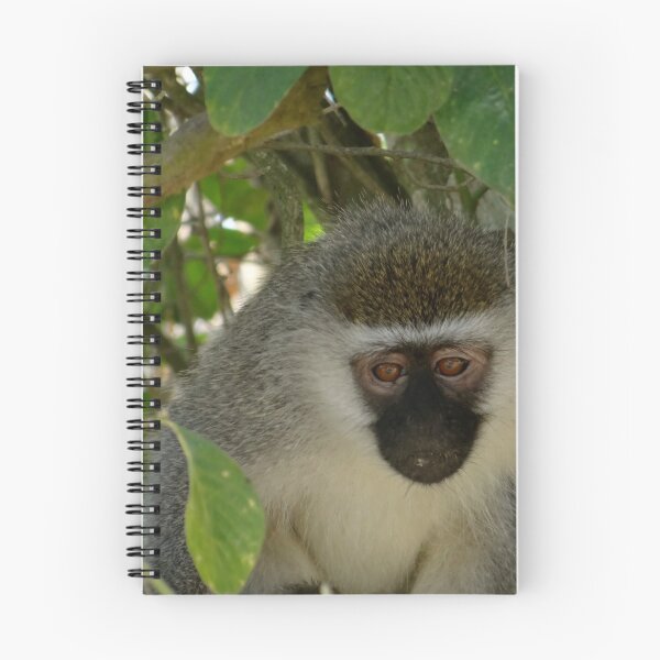 Item preview, monkey business designed and sold by exploramum.