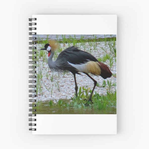 Item preview, side profile of one grey crested crane designed and sold by exploramum.