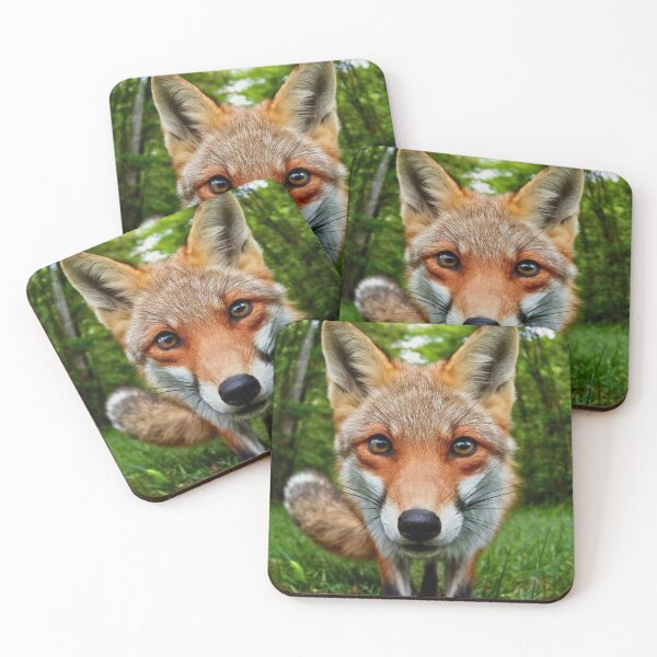 Item preview, Fox Portrait. wide angle, fisheye designed and sold by FoxVibes.