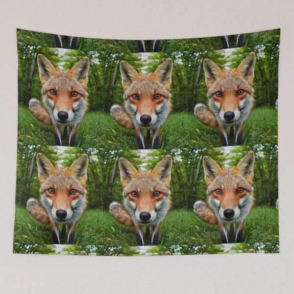 Item preview, Fox Portrait. wide angle, fisheye designed and sold by FoxVibes.