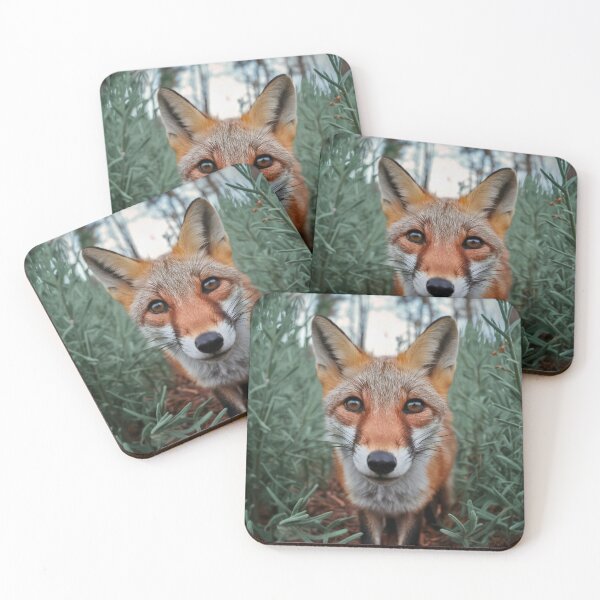 Item preview, Fox Portrait. wide angle, fisheye designed and sold by FoxVibes.