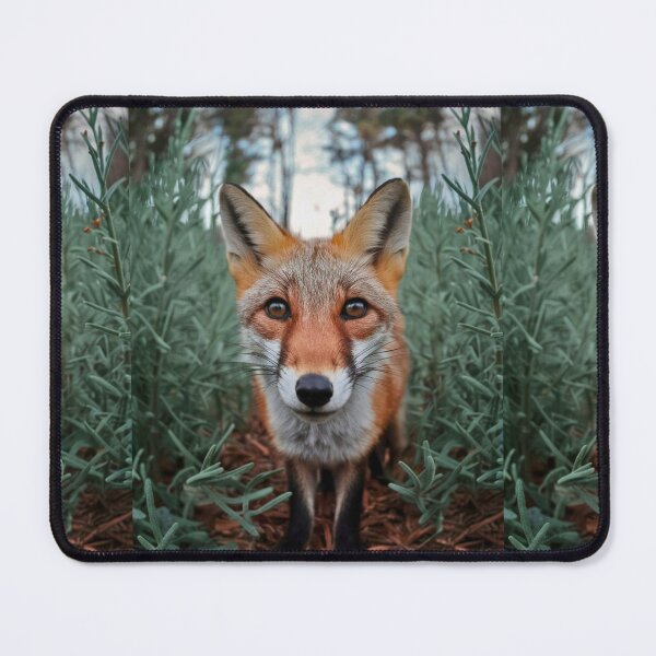 Item preview, Fox Portrait. wide angle, fisheye designed and sold by FoxVibes.