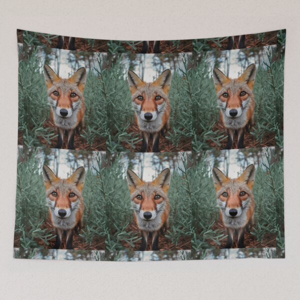 Item preview, Fox Portrait. wide angle, fisheye designed and sold by FoxVibes.