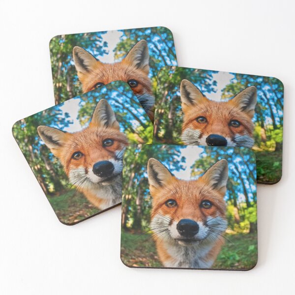 Item preview, Fox Portrait. wide angle, fisheye designed and sold by FoxVibes.