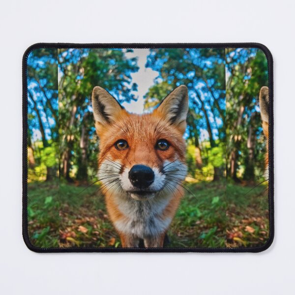 Item preview, Fox Portrait. wide angle, fisheye designed and sold by FoxVibes.