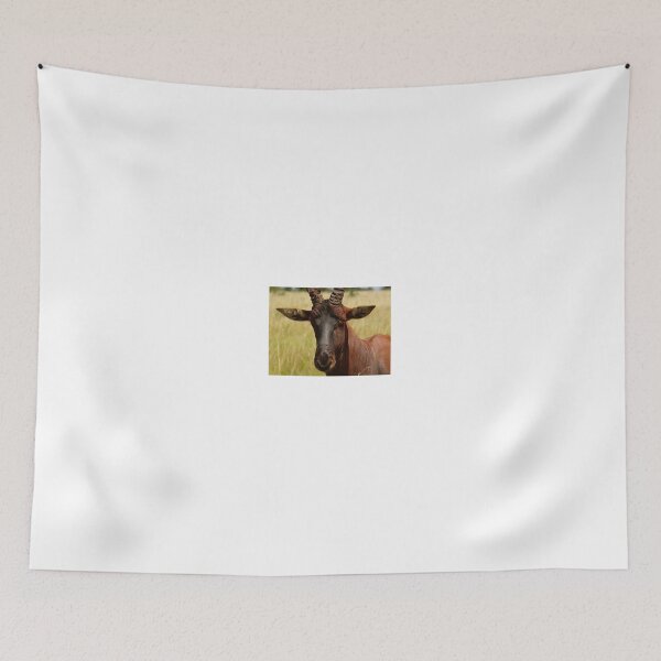 Item preview, Here’s looking at you, kid. designed and sold by exploramum.