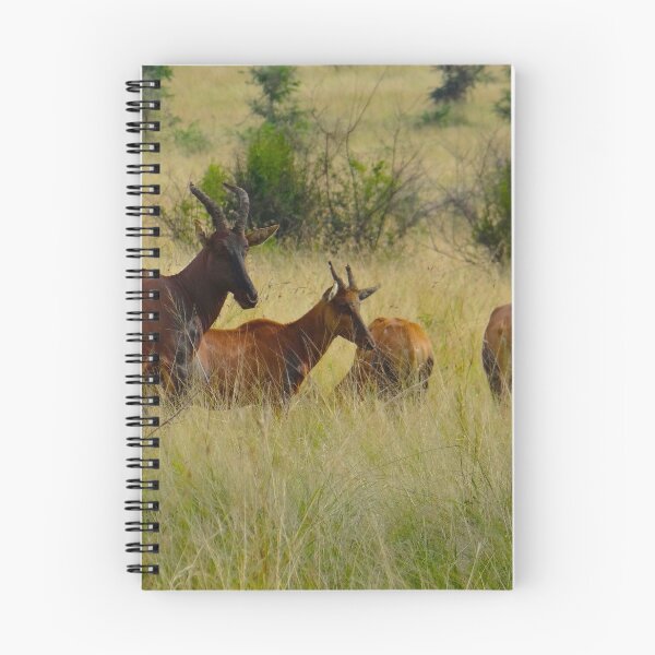Item preview, Sunday Stroll in Uganda designed and sold by exploramum.