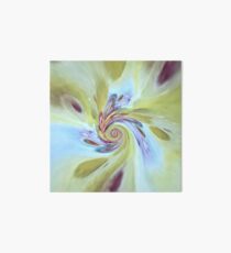 Plumage Art Board