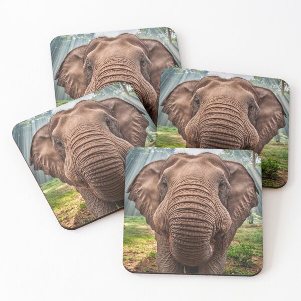 Item preview, Elephant Portrait. wide angle, fisheye designed and sold by ElephantVibes.