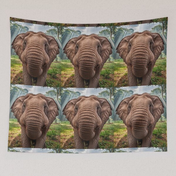 Item preview, Elephant Portrait. wide angle, fisheye designed and sold by ElephantVibes.