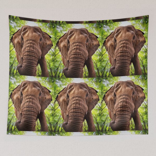 Item preview, Elephant Portrait. wide angle, fisheye designed and sold by ElephantVibes.