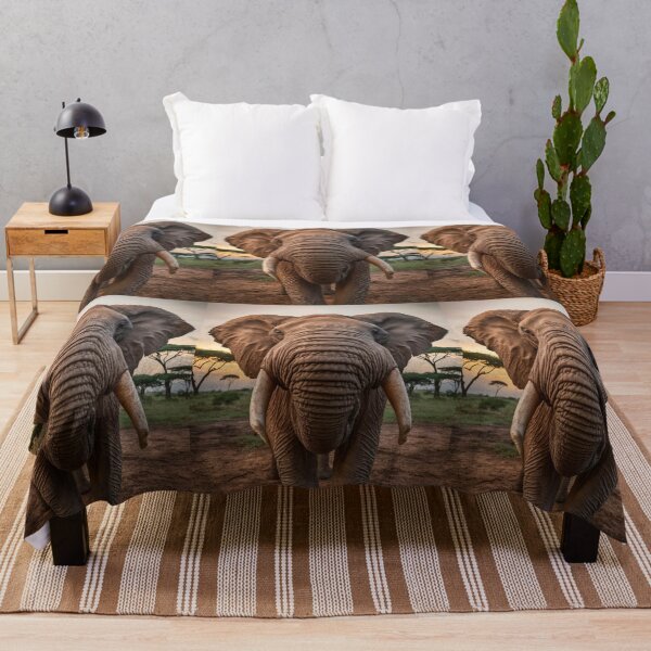 Item preview, Elephant Portrait. wide angle, fisheye designed and sold by ElephantVibes.
