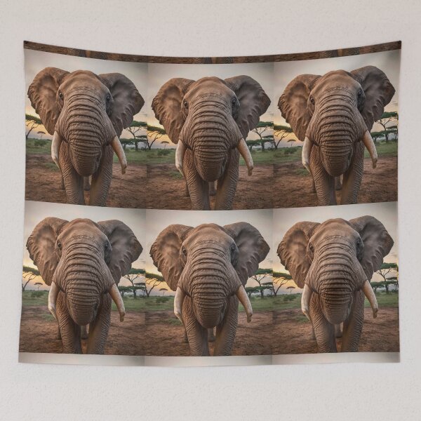 Item preview, Elephant Portrait. wide angle, fisheye designed and sold by ElephantVibes.