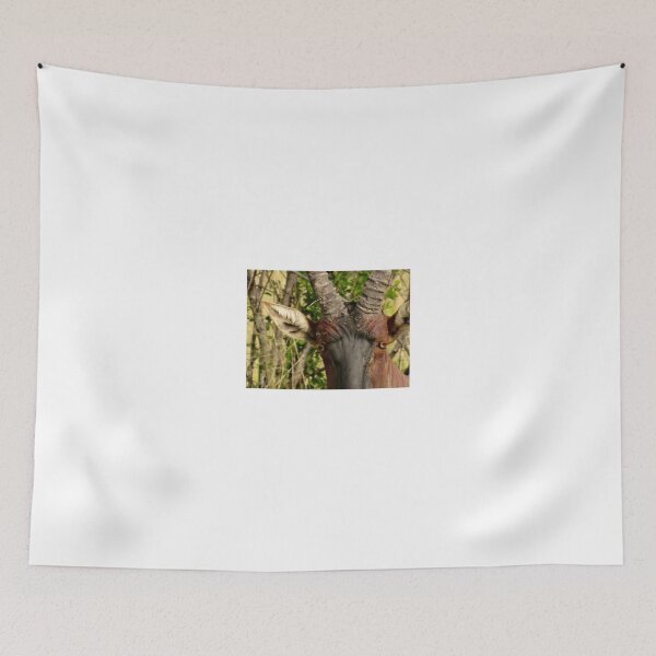 Item preview, Black Nose designed and sold by exploramum.