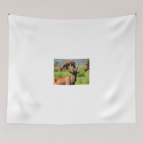 Item preview, I’m watching You designed and sold by exploramum.