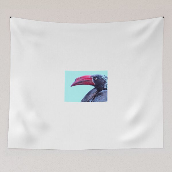 Item preview, Red beak close-up designed and sold by exploramum.