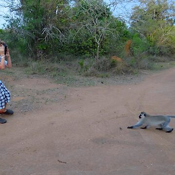 Artwork thumbnail, Monkeying Around by exploramum