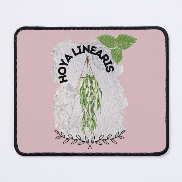 Item preview, Vintage Hoya linearis (Black lettering) designed and sold by EastAtina.