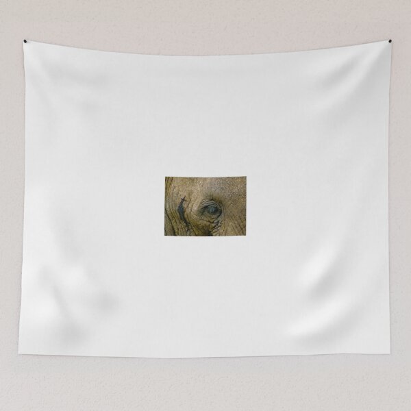 Item preview, elephant eye and skin designed and sold by exploramum.