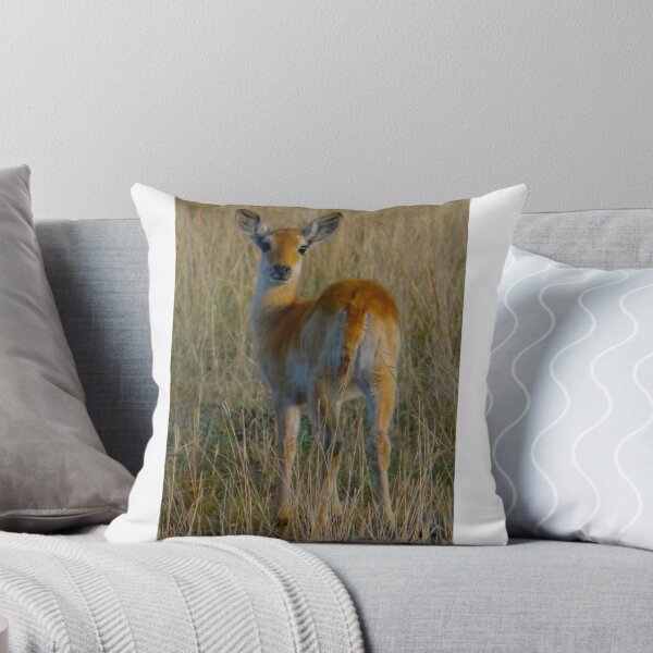 Item preview, looking at you designed and sold by exploramum.