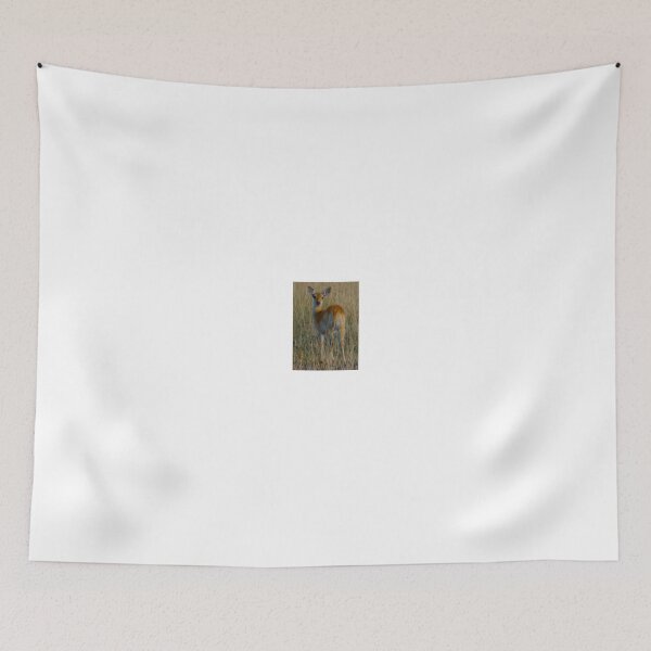 Item preview, looking at you designed and sold by exploramum.