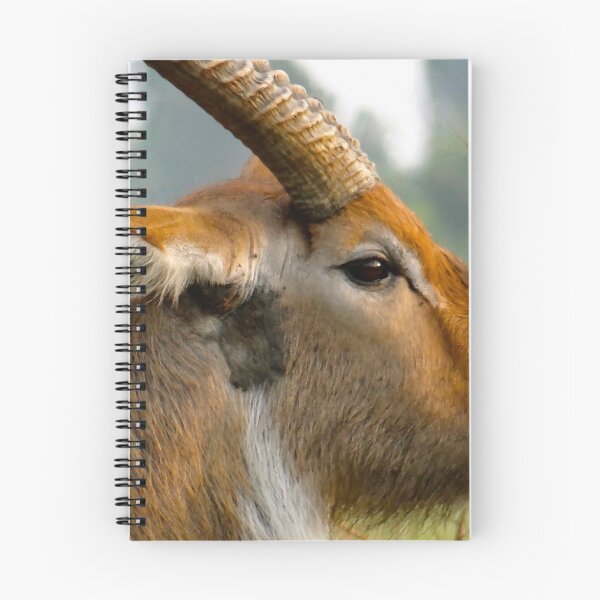 Item preview, Kenya wildlife in QENP my favourite designed and sold by exploramum.