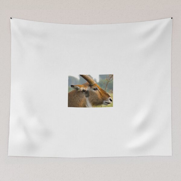 Item preview, Kenya wildlife in QENP my favourite designed and sold by exploramum.