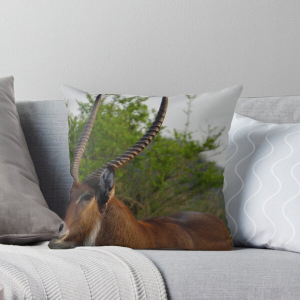 Item preview, Kenya wildlife in QENP the fella designed and sold by exploramum.