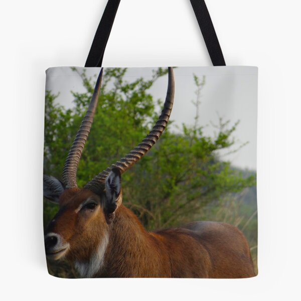 Item preview, Kenya wildlife in QENP the fella designed and sold by exploramum.
