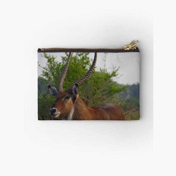 Item preview, Kenya wildlife in QENP the fella designed and sold by exploramum.