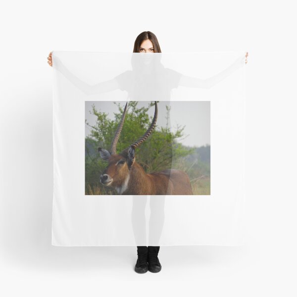 Item preview, Kenya wildlife in QENP the fella designed and sold by exploramum.