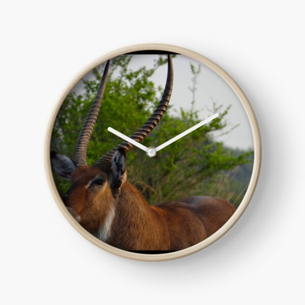 Item preview, Kenya wildlife in QENP the fella designed and sold by exploramum.