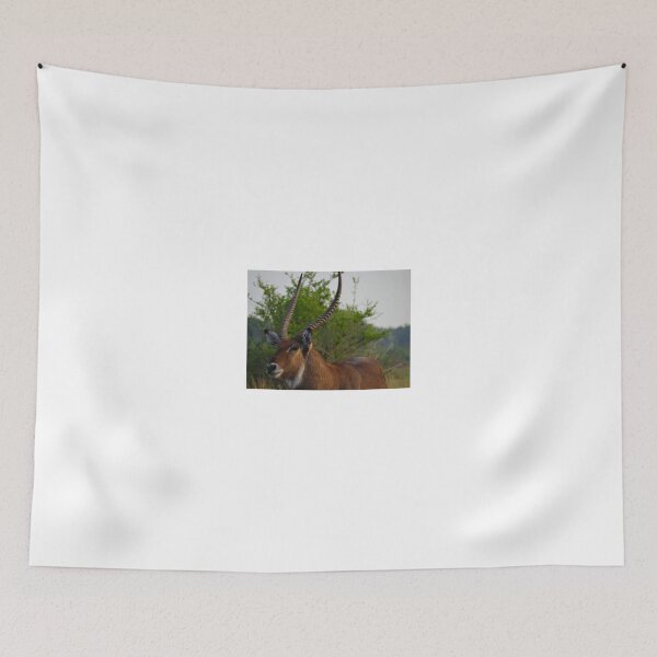 Item preview, Kenya wildlife in QENP the fella designed and sold by exploramum.