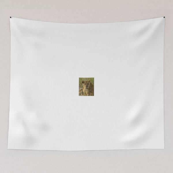 Item preview, Kenya wildlife before QENP -lying lioness designed and sold by exploramum.