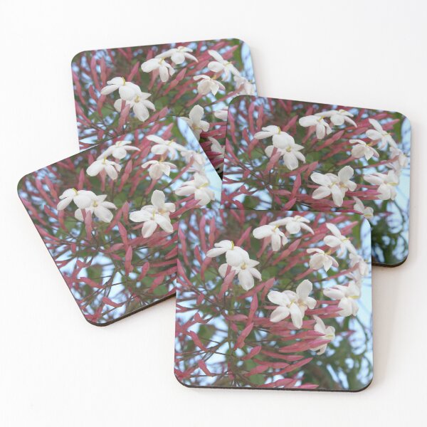 Item preview, Pink Buds and Jasmine Blossom Close Up designed and sold by taiche.