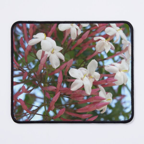 Item preview, Pink Buds and Jasmine Blossom Close Up designed and sold by taiche.