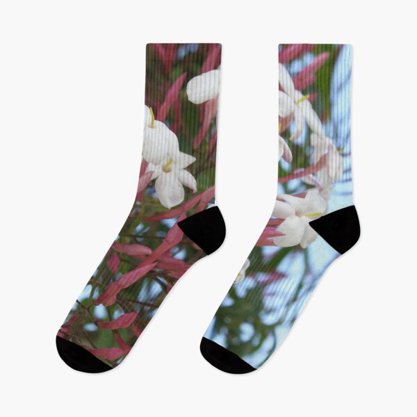 Item preview, Pink Buds and Jasmine Blossom Close Up designed and sold by taiche.