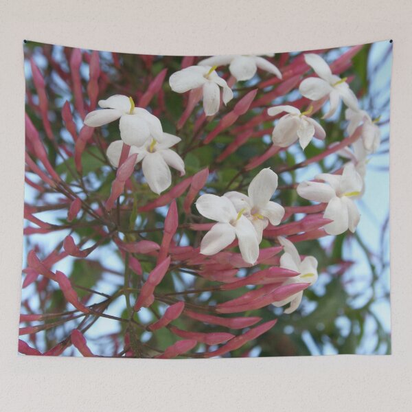 Item preview, Pink Buds and Jasmine Blossom Close Up designed and sold by taiche.