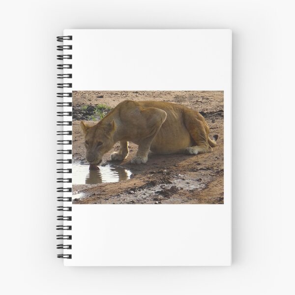 Aperçu de l'œuvre lionne enceinte boire avec la langue créée et vendue par exploramum.