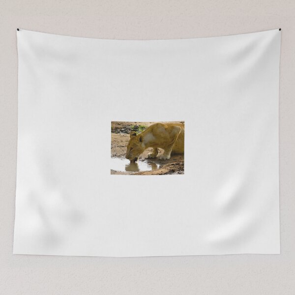 Item preview, pregnant lioness poised to drink designed and sold by exploramum.
