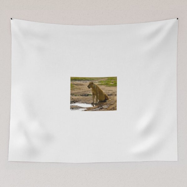 Item preview, pregnant lioness sitting designed and sold by exploramum.