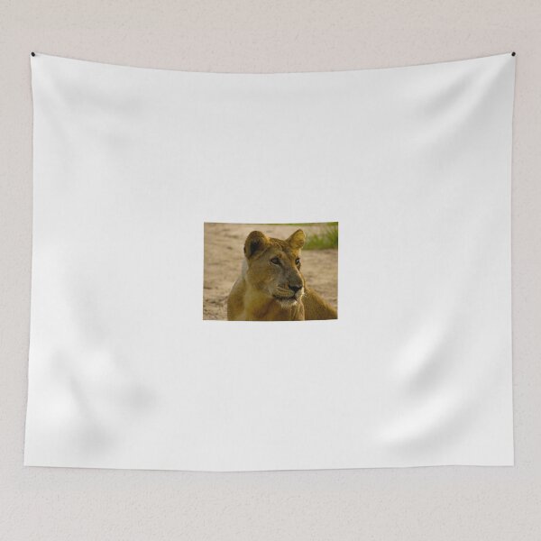 Item preview, pregnant lioness relaxed designed and sold by exploramum.