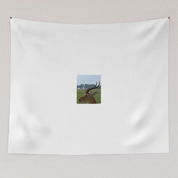 Item preview, white markings designed and sold by exploramum.