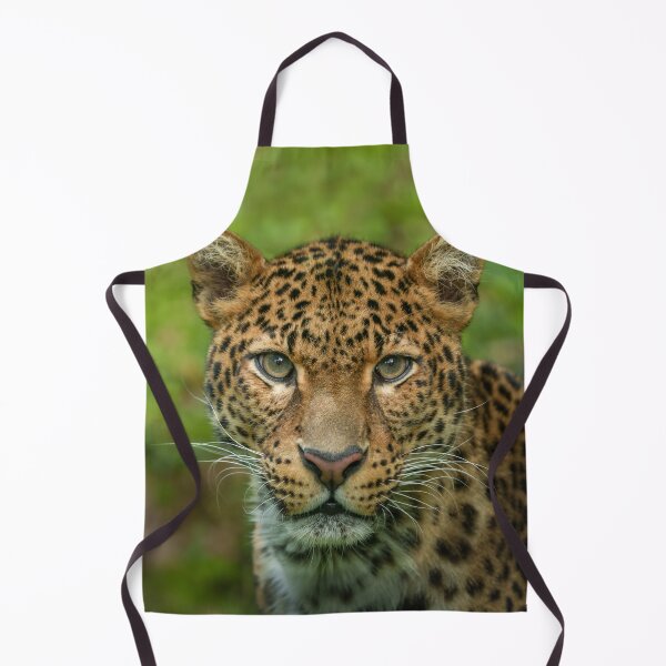 Item preview, Jaguar's Intensity designed and sold by rawshutterbug.