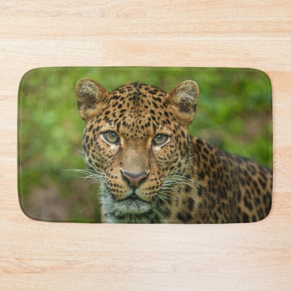 Item preview, Jaguar's Intensity designed and sold by rawshutterbug.