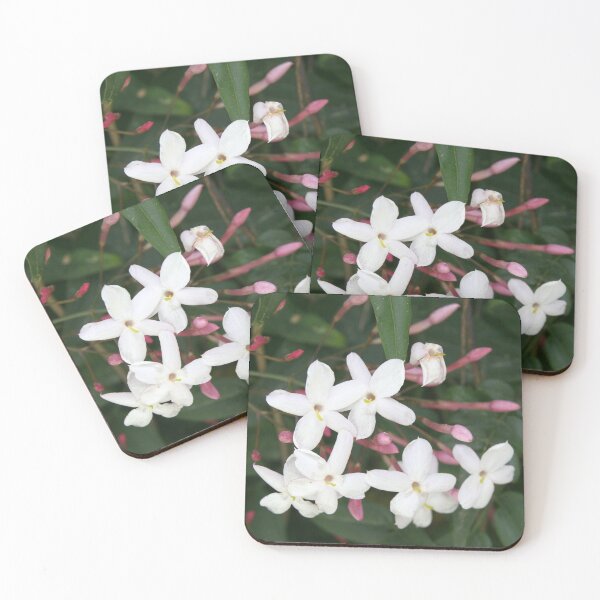 Item preview, Delicate White Jasmine Blossom with Green Background designed and sold by taiche.