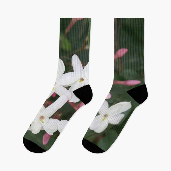 Item preview, Delicate White Jasmine Blossom with Green Background designed and sold by taiche.